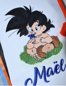 Protège carnet de santé personnalisé DBZ PAPILLON