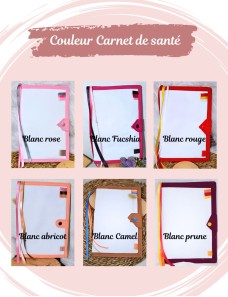 Protège carnet de santé personnalisé PANPAN