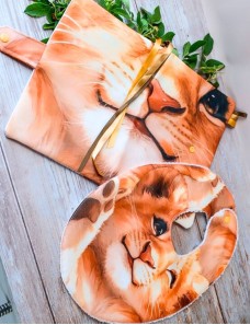 Coffret naissance bébé personnalisé – LION